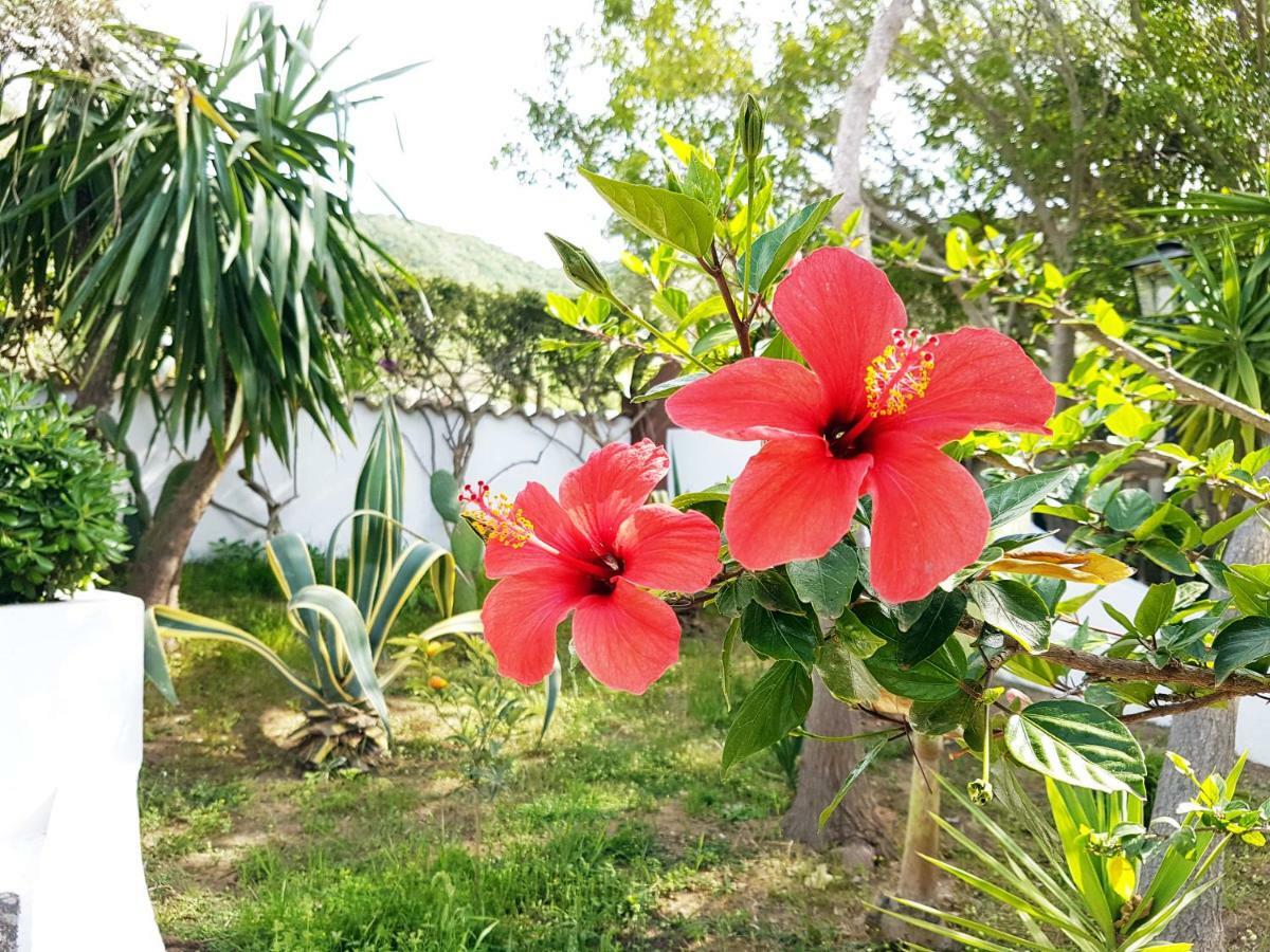 Villa Del Sogno Parghelia Eksteriør bilde