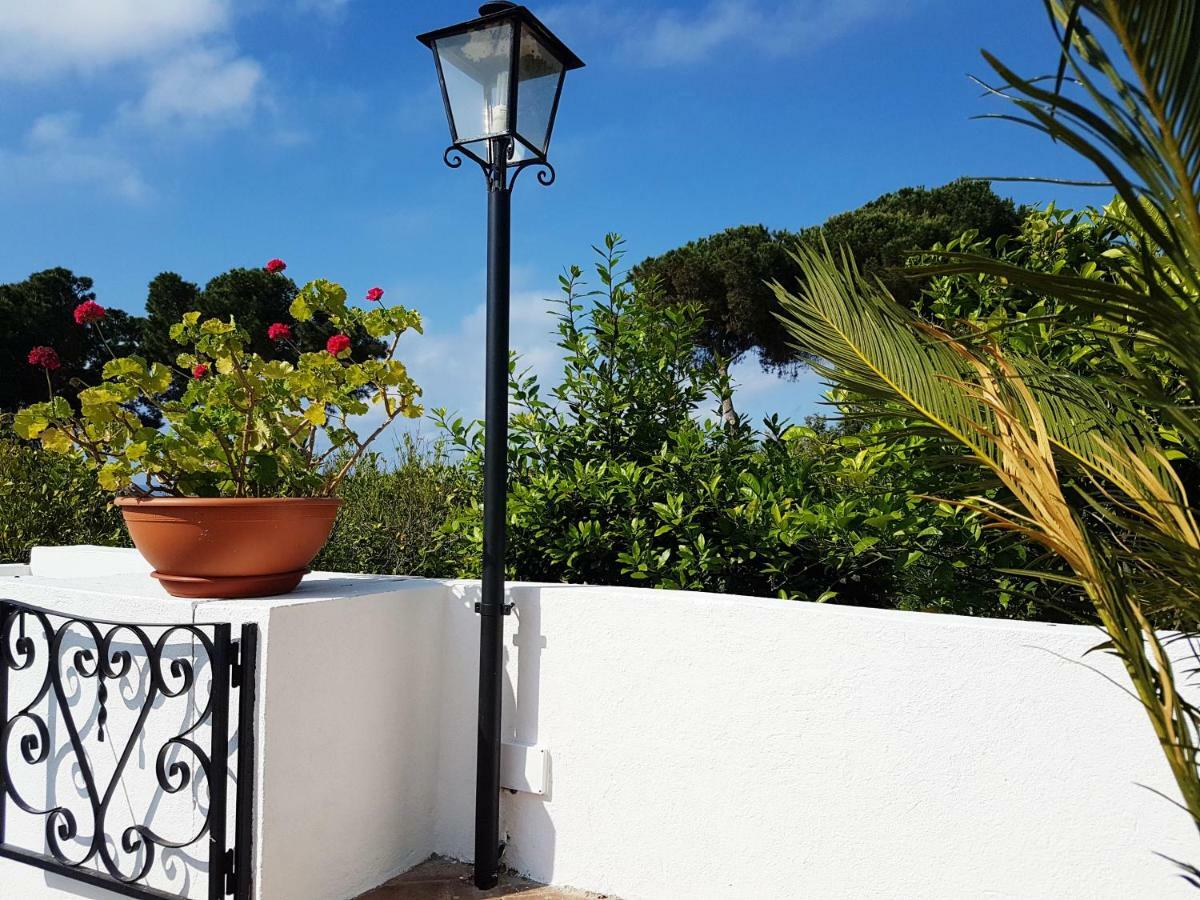 Villa Del Sogno Parghelia Eksteriør bilde